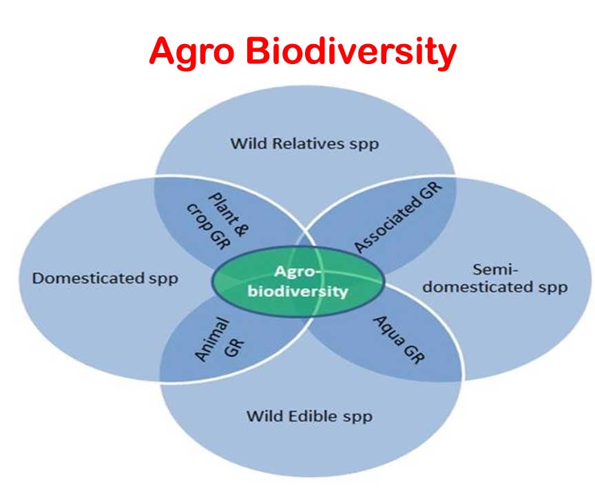 Agro-diversity